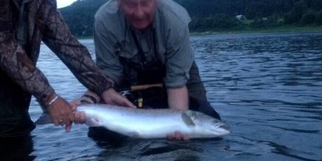 Steve Buckley's salmon 2012