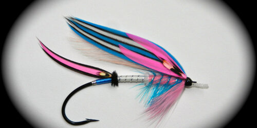 breast cancer fly