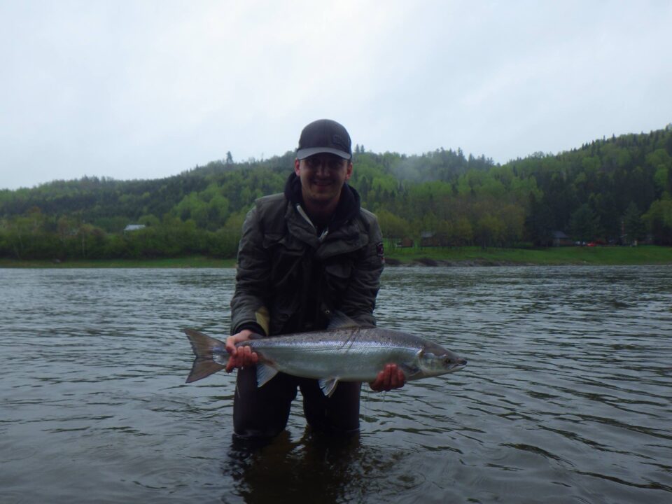 atlantic_salmon_2013_high_water