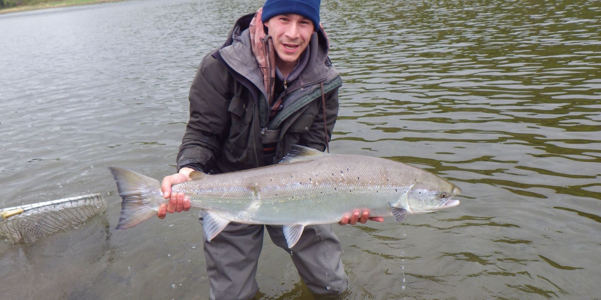 chrome atlantic salmon 2013