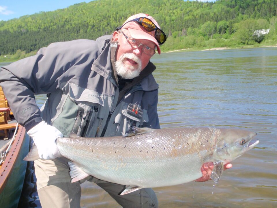 wolfgangs_35lb_salmon