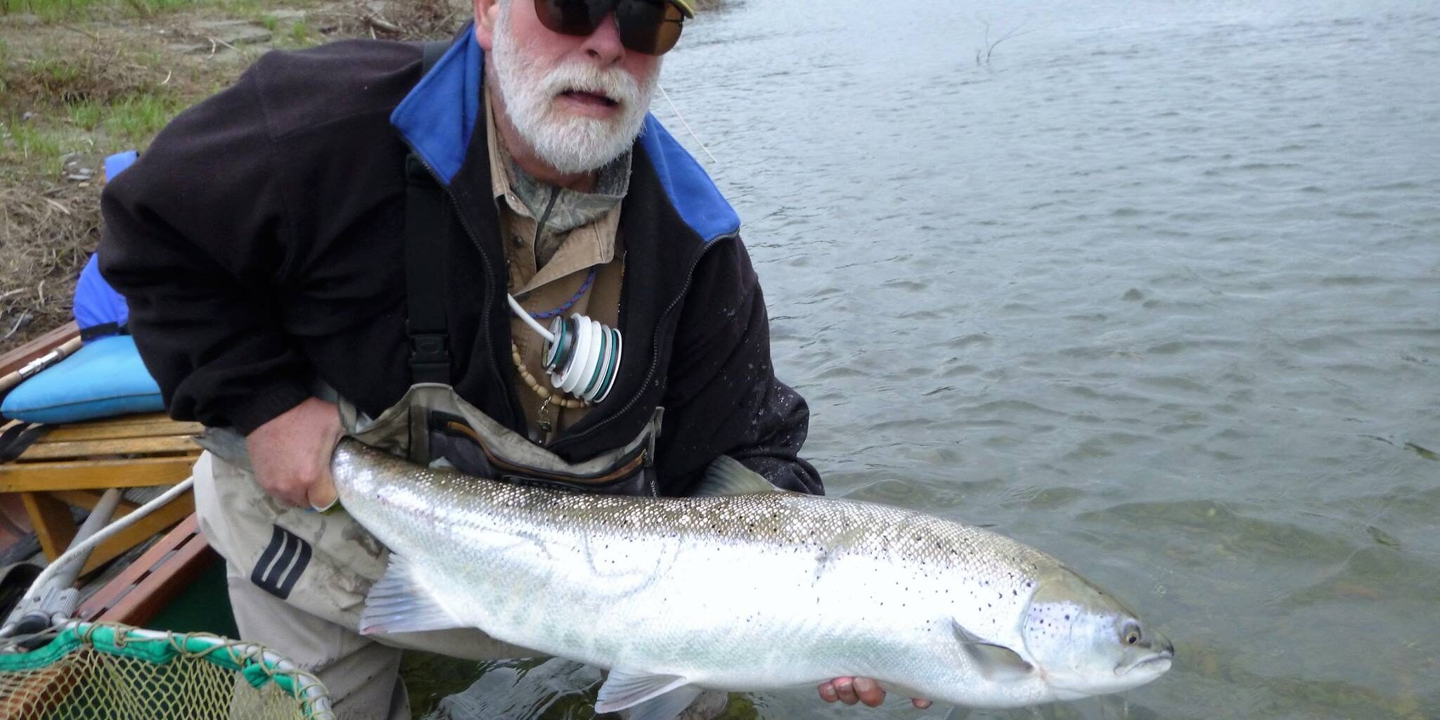 30lb Atlantic Salmon