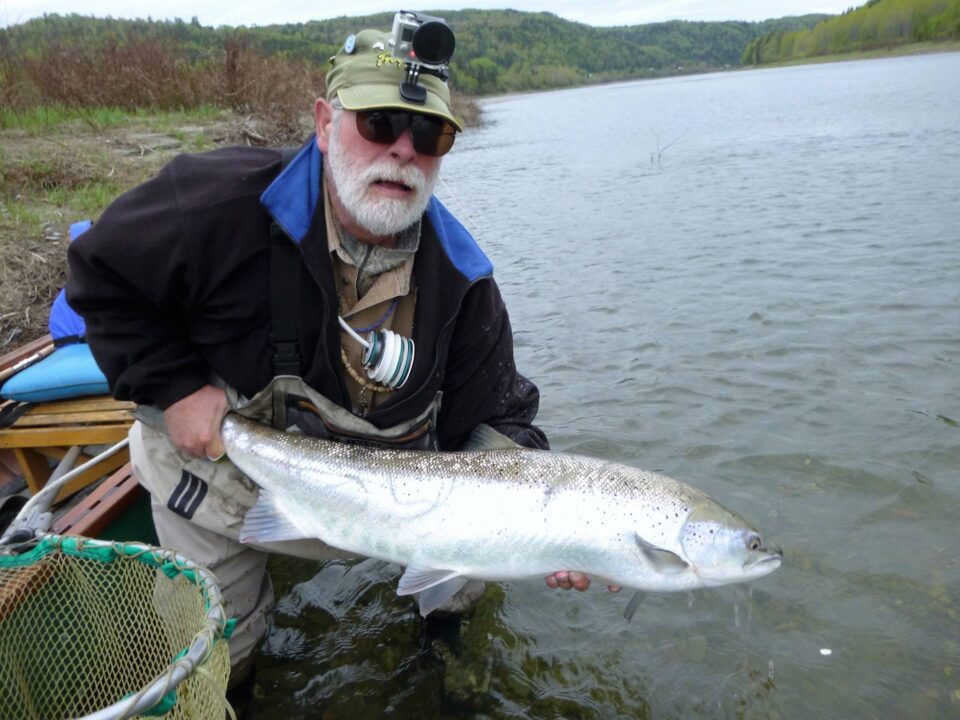 30lb Atlantic Salmon