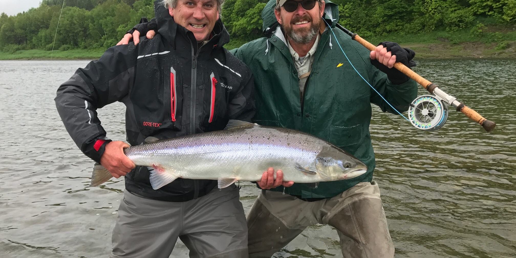 mark's atlantic salmon