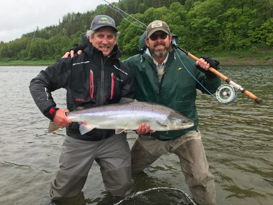 mark's atlantic salmon