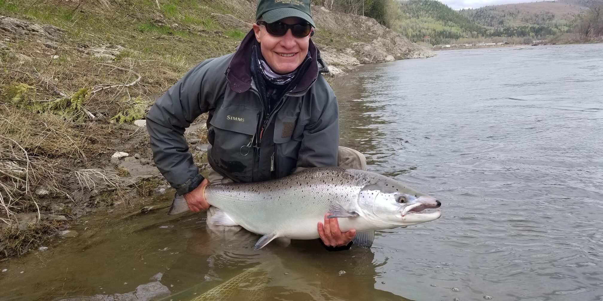 Bruce's black nosed Atlantic salmon