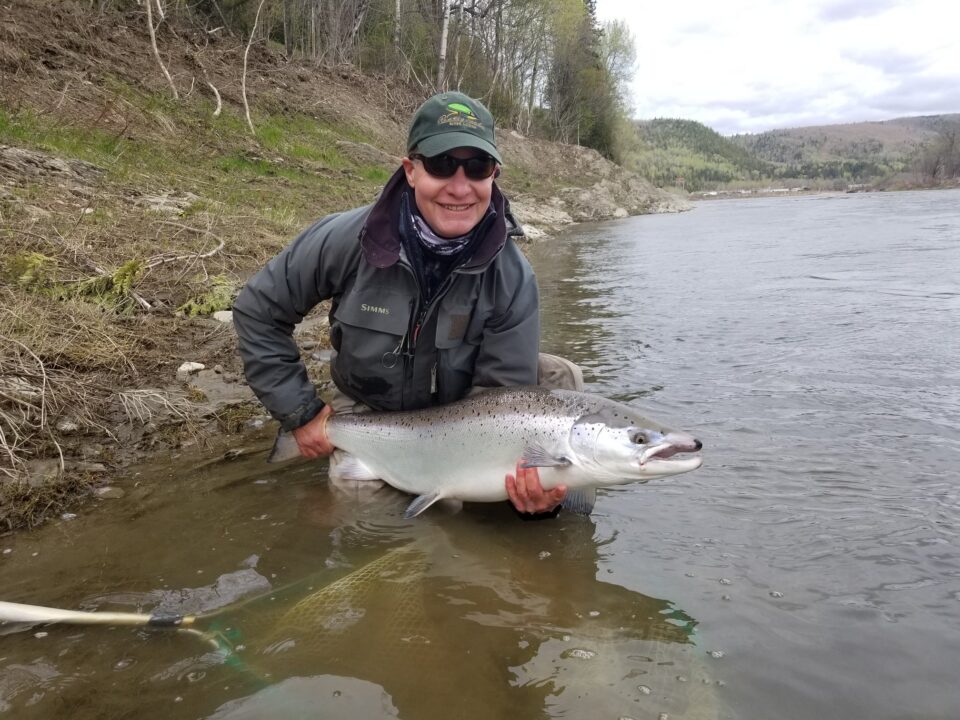 Bruce's black nosed Atlantic salmon