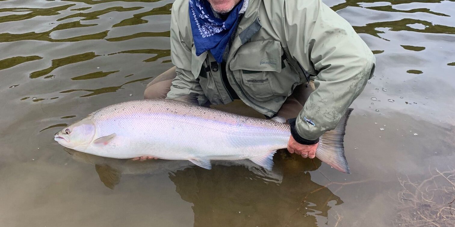 Anthony with another ledges salmon!