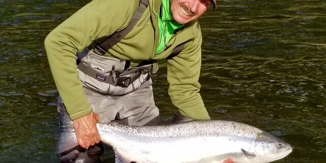 large atlantic salmon