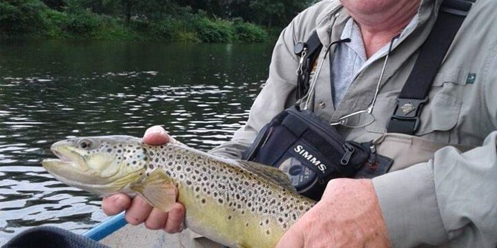 dave_brandt dave brandt