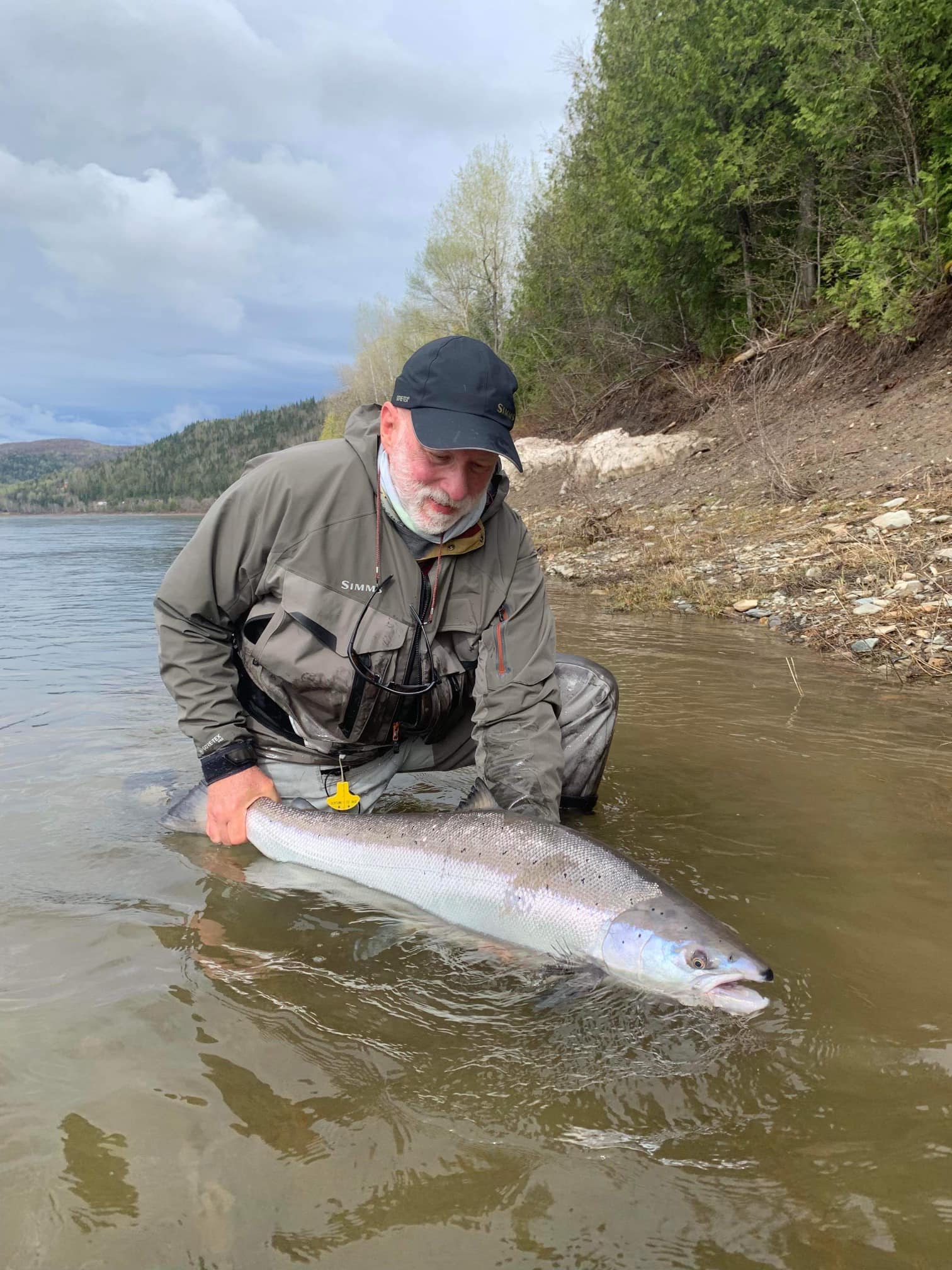 2022 Atlantic Salmon season begins – Restigouche River Lodge