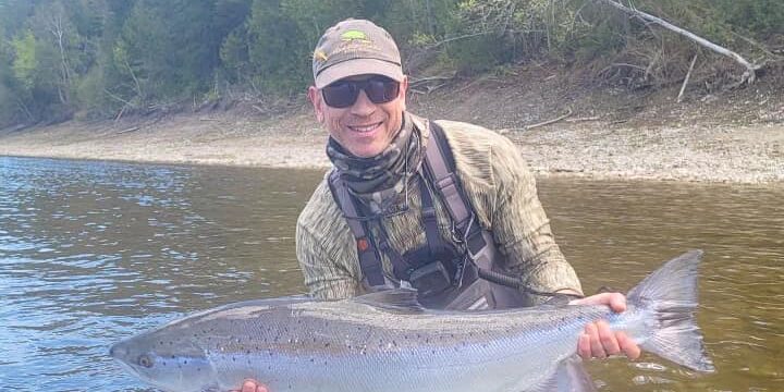 David Milans Atlantic Salmon